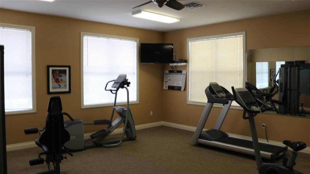Gallery Photo 38